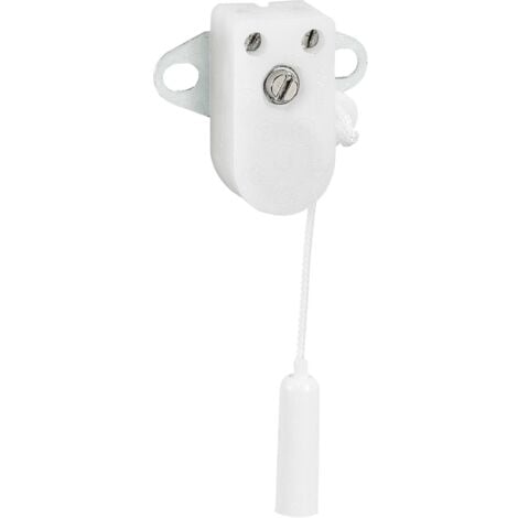 Legrand - Mini-inter 2A 250V à tirette + plaque 2 trous