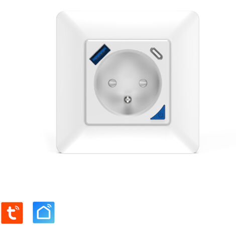 Prise intérieure encastrée 3000W & Ports USB-A + USB-C (20 W) connectée Wifi + Suivi de consommation + Compatible (1/5)