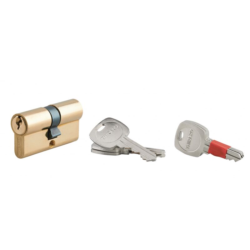Cylindre de serrure double entrée clé modifiable, 30x30mm,  anti-arrachement, anti-perçage, laiton, 2x3 clés-THIRARD