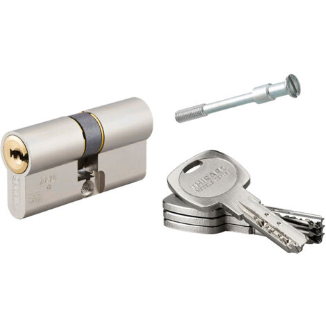 THIRARD - Cylindre de serrure double entrée Transit 2 pour serrure Trimax A2P, 30x30mm, nickel, 4 clés - THIRARD (1/3)