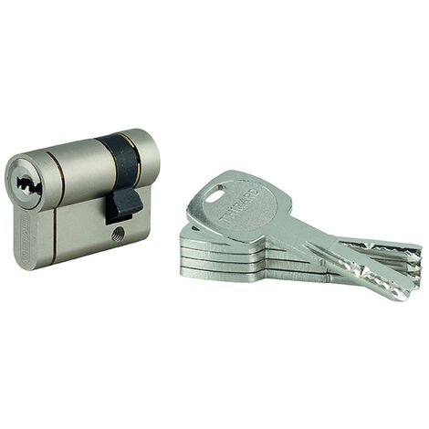 THIRARD - Demi cylindre de serrure Transit 1 UNIKEY (achetez-en plusieurs, ouvrez avec la même clé), 30x10mm, 5 clés, nickelé - THIRARD