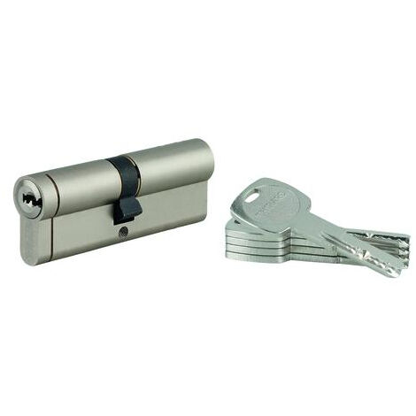 THIRARD - Cylindre double entrée Transit 1 UNIKEY (achetez-en plusieurs, ouvrez avec la même clé), 45x45mm, 5 clés, nickelé - THIRARD (1/5)