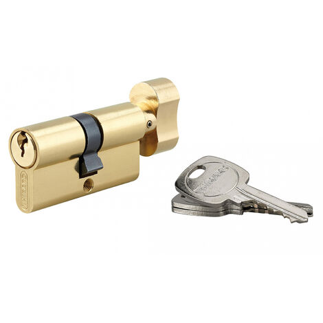 Cylindre de serrure à bouton STD UNIKEY (achetez-en plusieurs, ouvrez avec la même clé), 30Bx30mm, 3 clés, laiton - THIRARD