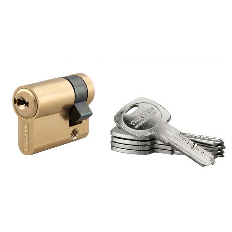 THIRARD - Demi-cylindre de serrure Trafic 6, 30x10mm, anti-arrachement, anti-perçage, laiton, 5 clés - THIRARD