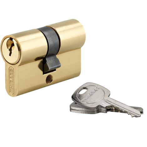 Thirard – Cylindre de serrure double entrée 20x20mm – Anti-arrachement – 3 clés en laiton nickelé – 5 goupilles pour sécurité renforcée (1/3)