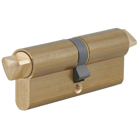 Thirard – Cylindre de serrure 2 triangles externes 14 profilé HG 40x40mm – Laiton – Sécurité optimale pour portes – Installation facile