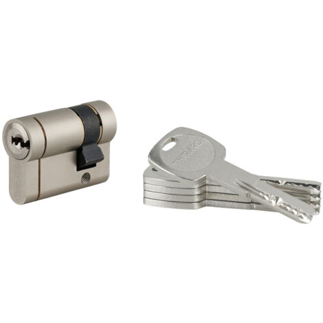 THIRARD - Demi-cylindre Transit 1, 30x10mm, nickelé, 5 clés - THIRARD