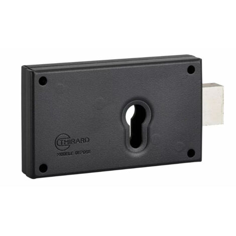 Thirard – Boîtier pêne dormant réversible PE – Gâche pour crémone 140x82 mm – Acier zingué bichromaté – Axe 56 – 9771