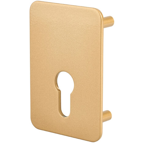 THIRARD - Plaque de renfort cylindre profilé pour verrou Capital, fixation par vis, époxy bronze  - THIRARD