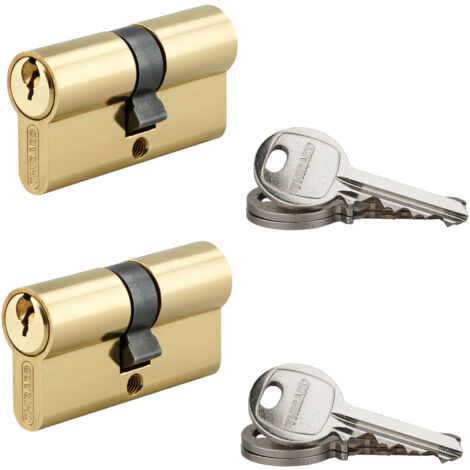Thirard – Lot de 2 cylindres SA laitonné 30X30mm s'entrouvrant 6 clés – Pour accès sécurisé – Compatible avec systèmes de verrouillage standard (1/2)