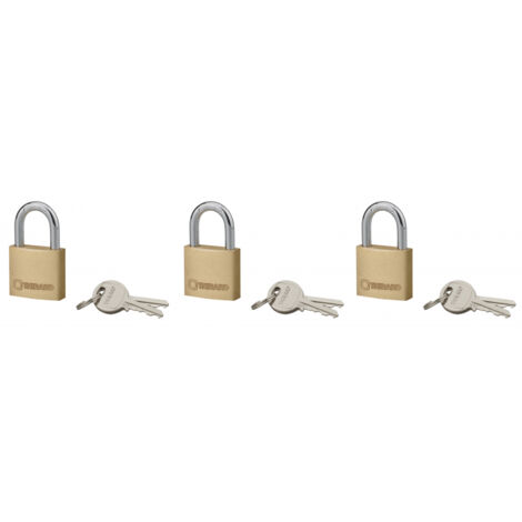 Lot De 3 Cadenas à Poutre Longue 32mm Avec 9 Clés - Étanches Et Sécurisés
