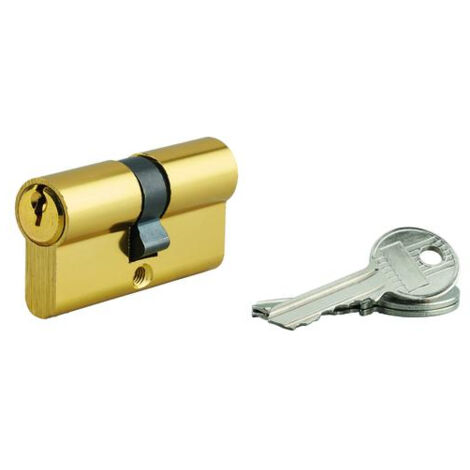 Cylindre de serrure double entrée 30x30mm – Aluminium anti-arrachement – 3 clés en acier nickelé – Mécanisme à 5 goupilles – SP (1/4)