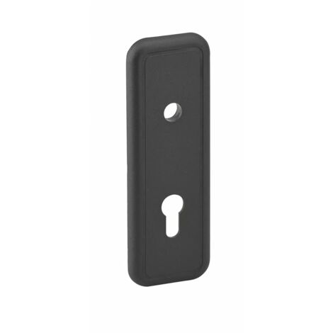 Thirard – Plaque de propreté 186 x 62 mm – Entraxe 60 mm – Accessoire pour porte de garage – Installation facile