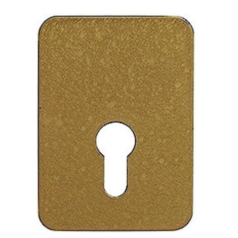 Thirard – Contreplaque de sécurité pour verrou à cylindre européen – Finition epoxy bronze – Entraxe 40x67mm – Pour portes jusqu'à 50mm d'épaisseur