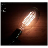 Ampoule vintage incandescente bulb Edison E27 BT75 filaments apparents