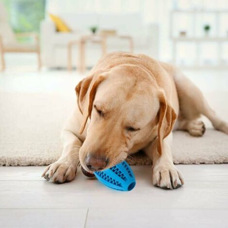 Dog Treat Dispenser, Toy Ball, Durable Rubber Rugby Dog Toy, Blue