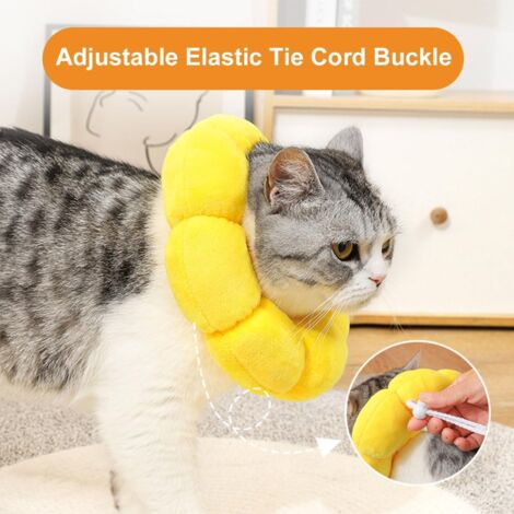 pet elizabethan collar