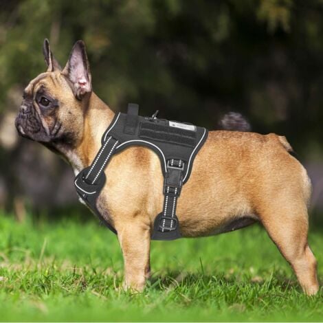 Working dog harness discount