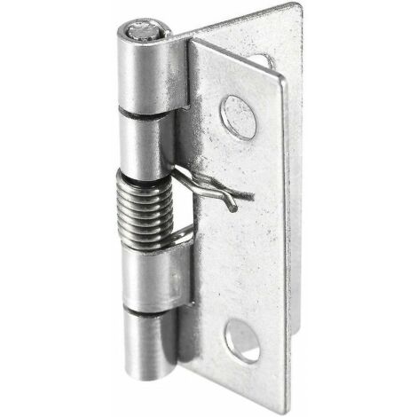 4 Stück Federscharniere 304 Edelstahl - Selbstschließend Für Schranktüren