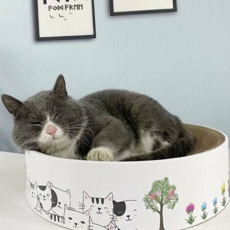 cat scratching round