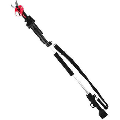 MANICO EASYCUT REX STARS (1/3)