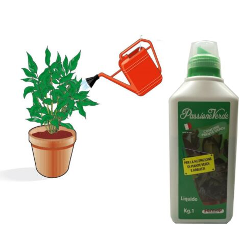 CONCIME LIQUIDO PIANTE VERDI 1 LT GIARDINO -- PZ 22 -- DF 6131901 (1/4)