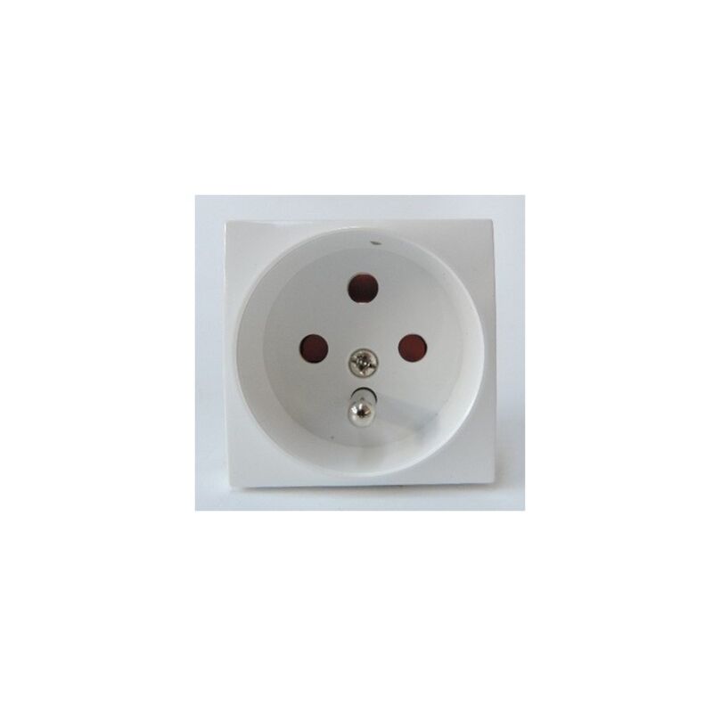 Prise Double RJ45 CAT6A STP Blindée Schneider Electric - Blanc - 45x45mm Avec Porte-étiquette - NEUVE