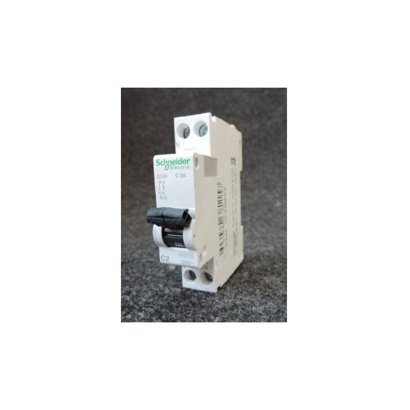 2 Disjoncteurs Schneider DT40 C 2A 230V 1P+N - Référence A9N21020, Neufs