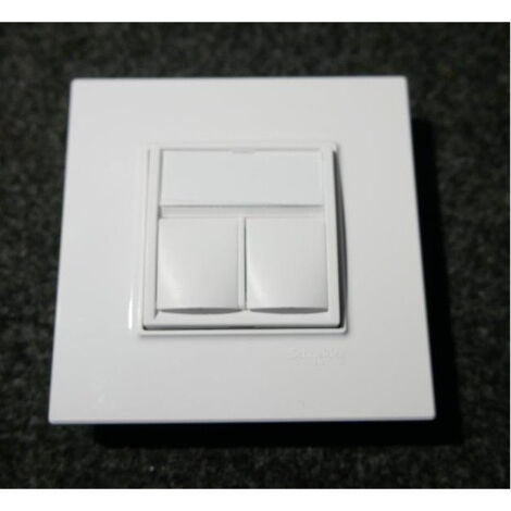 Prise double RJ45 CAT 6A STP blindée blanc polaire P-E avec support et plaque S-ONE ALTIRA SCHNEIDER
