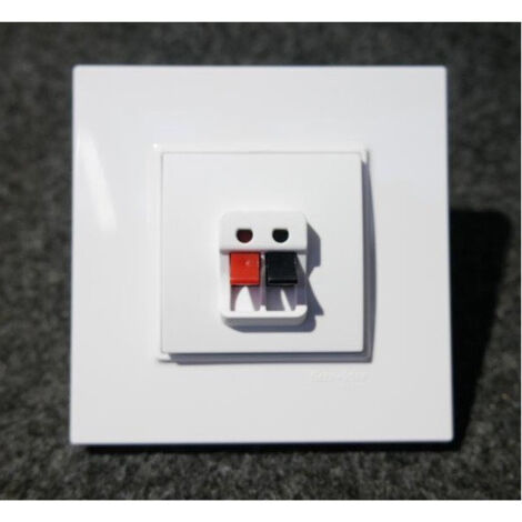 Prise haut-parleur 1 sortie blanc polaire 2 bornes à ressorts complet avec support et plaque ALTIRA SCHNEIDER (1/2)