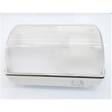 Hublot rectangulaire diffuseur transparent 206x110x113mm pour lampe 60W max culot B22 230V (non incl) étanche IP55 MIZAR (1/2)