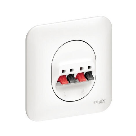 Schneider Electric – Prise haut-parleur 2 sorties blanche – Plaque de fixation avec vis/griffes – Installation murale facile – Pour espaces confinés