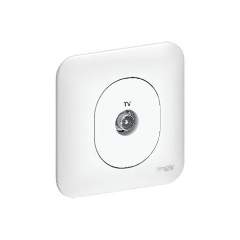 Prise TV simple IEC 9.52 encastré blanc complet avec plaque fixation vis/griffes OVALIS (1/5)