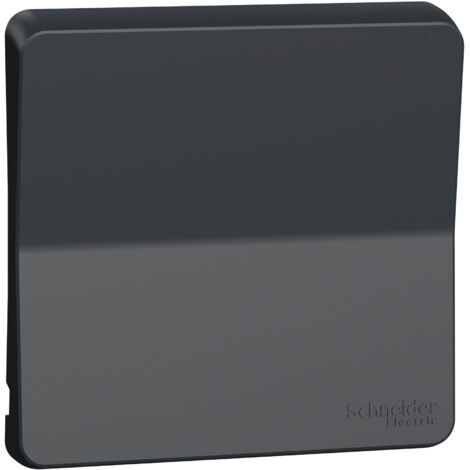 Mureva Styl Enjoliveur avec symbôle lumière IP55 IK08 gris SCHNEIDER ELECTRIC MUR34202 (1/5)