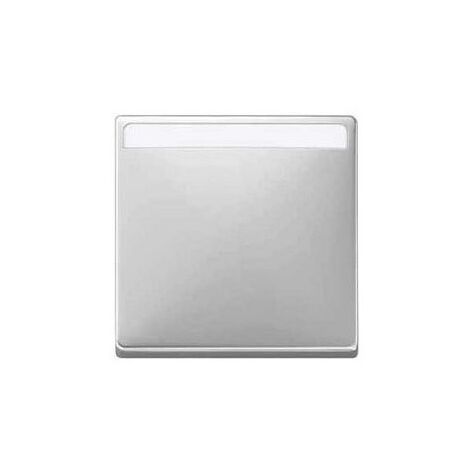Enjoliveur large acier porte etiquette ARTEC (1/3)