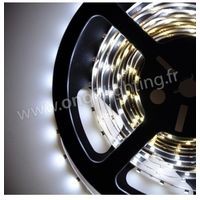Ruban LED blanc froid 7000K 5W/m (longueur 5m) 12V DC (alim non incl) dimmable 120° intérieur IP20 RUBILIGHT 3528601-70