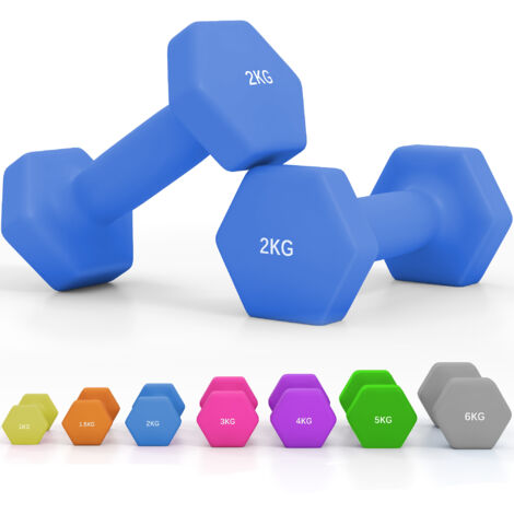 SPORTNOW Hexagonal Dumbbells Weights Pair 2 x 2kg-Blue