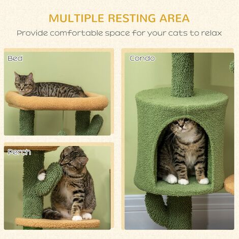 Multi level cat clearance house