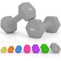 SPORTNOW Hexagonal Dumbbells Weights Pair 2 x 6kg-Grey
