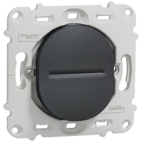 Interrupteur Ovalis Schneider Finition: Anthracite (1/2)