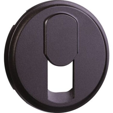 Legrand 067937 - Enjoliveur céliane - Prise Téléphone pour réseau mixte et basique - graphite