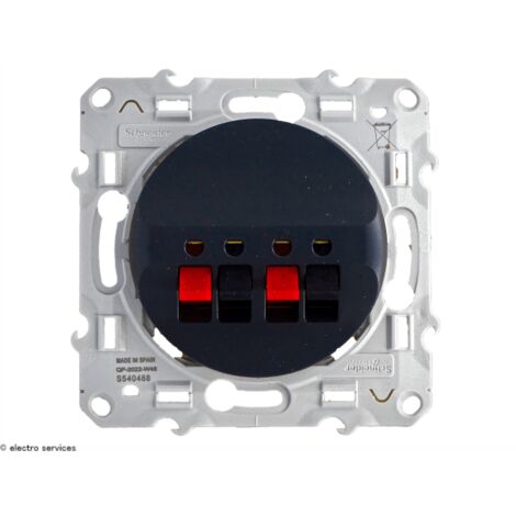 Prise haut-parleur Schneider Odace - 2 sorties Finition: Anthracite