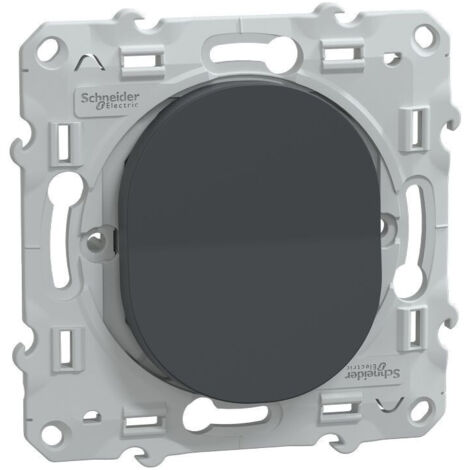 va et vient - 10a - anthracite - schneider electric s340204