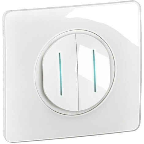 ENJOLIVEUR INTERRUPTEUR DOUBLE ORIGINAL NIKO BLANC 101-61505
