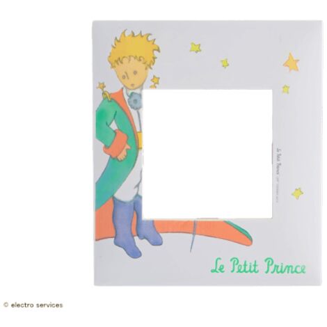Plaque 1 poste Espace Evolution Arnould Finition: Prince