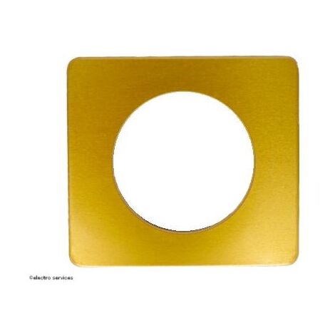 Legrand – Plaque de finition 1 poste CP1201 – Laiton Satiné – Compatible supports Batibox – Installation facile avec rattrapage intégré