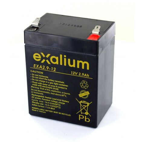 Batterie plomb 12V 65Ah Exalium EXA65-12