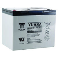 Yuasa – Batterie plomb 12V 80Ah REC8012 – Technologie VRLA sans entretien – Pour systèmes d'alarme et onduleurs – Dimensions 259x168x212.5mm - REC80-12I