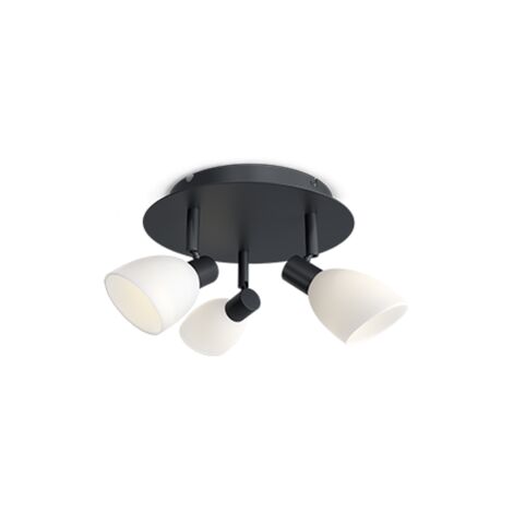 0 PlafondProjecteurGrappesNoir,OpaleVerre3xG9 (1/2)