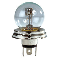 Ampoule CE 12V P45t BLANC